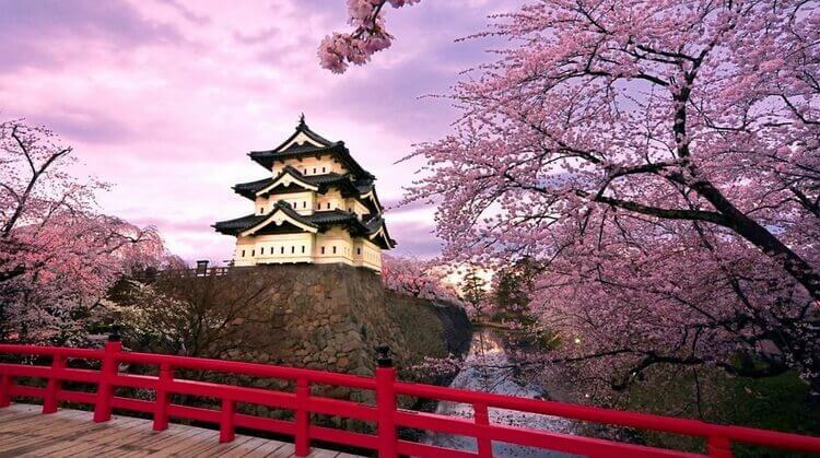 G.KORE & JAPONYA TURU ( SAKURA MEVSİMİ )