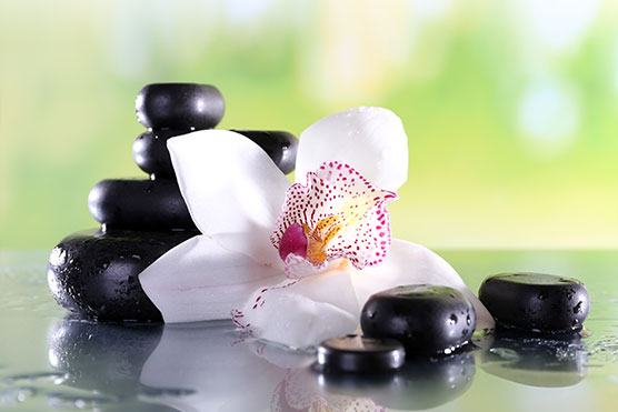 Spa & Wellness